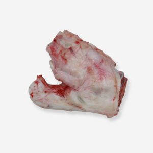 14827 - Heel Bone - Photo Edited