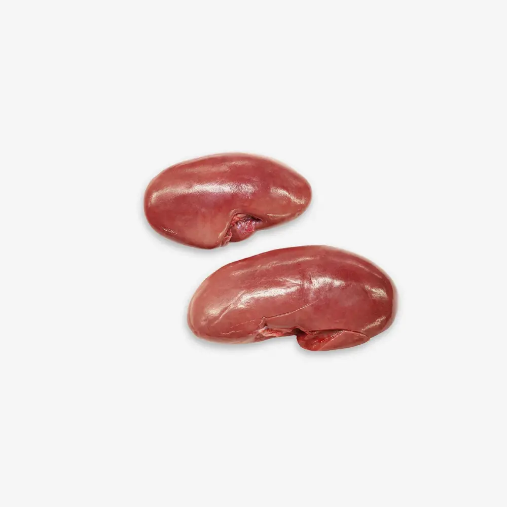 23013 Kidney