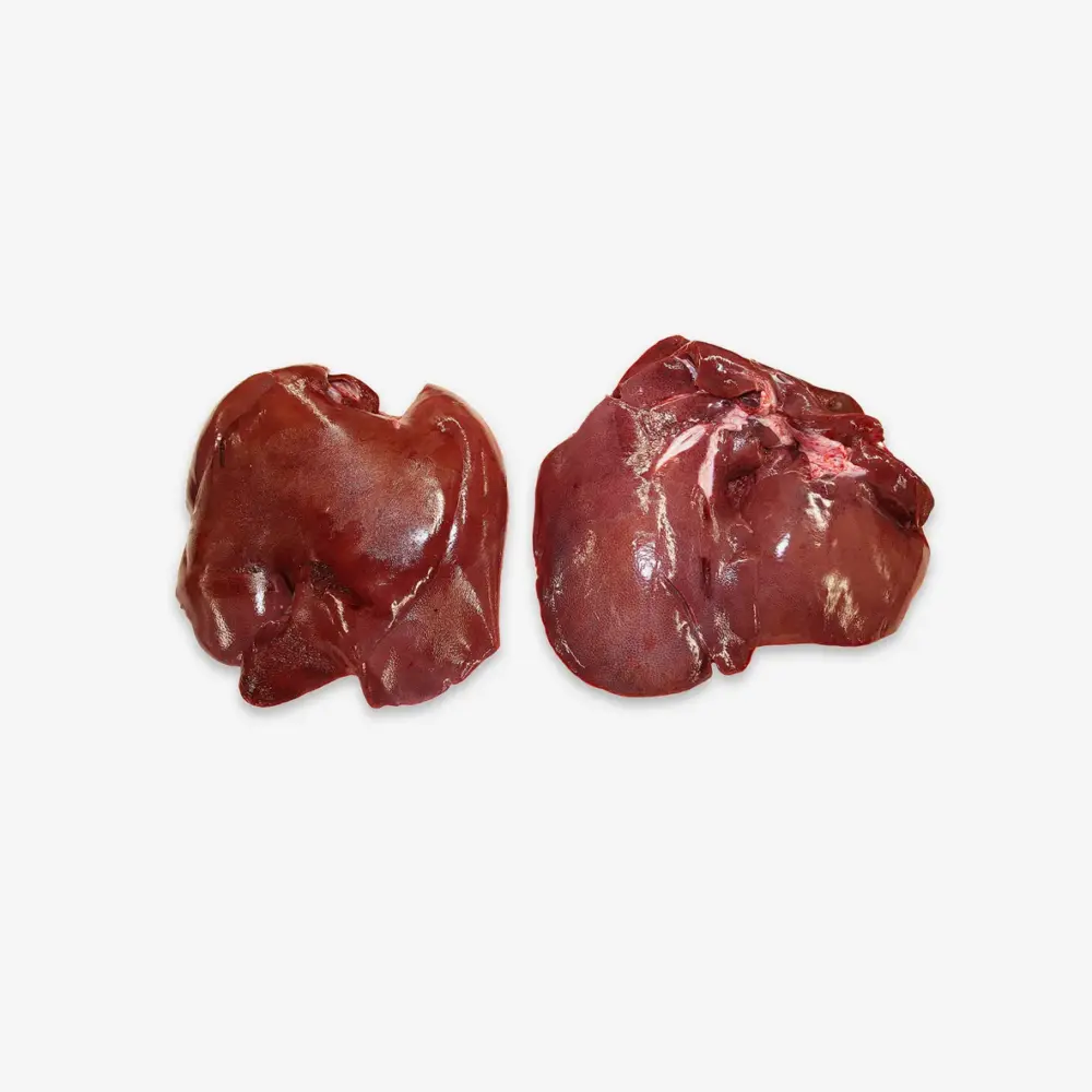 23127 Liver