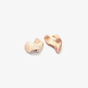24014 Ear (Falp)