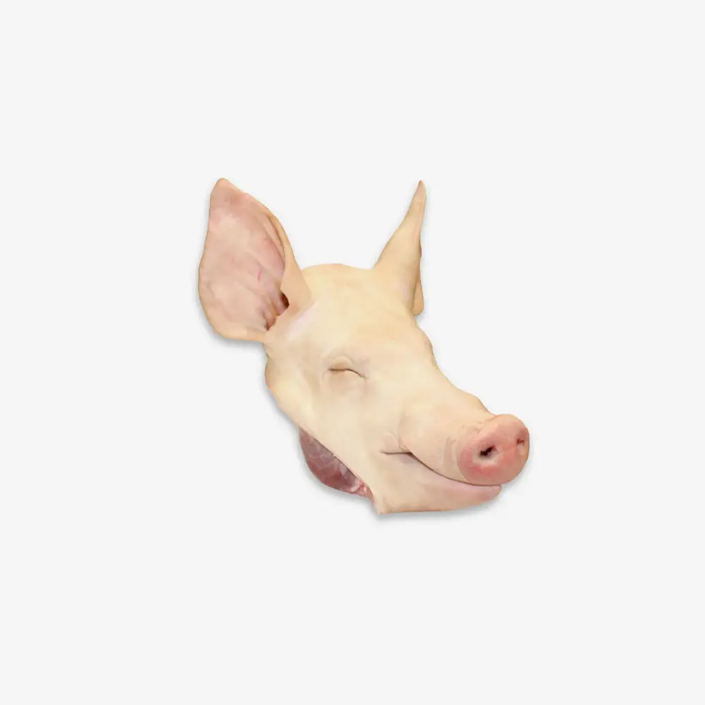 24028 Head with Ears