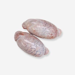 520 - Balls - Photo Edited