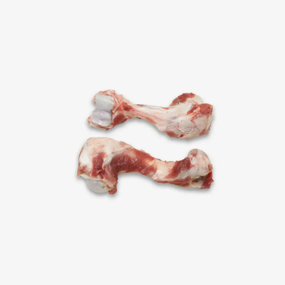 69049 Humerus Bone