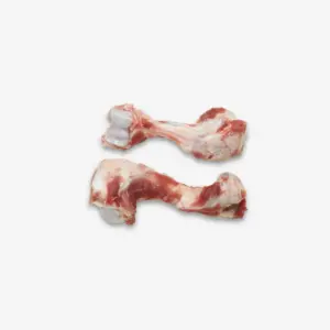 69049 Humerus Bone
