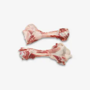 69121 Femur bone