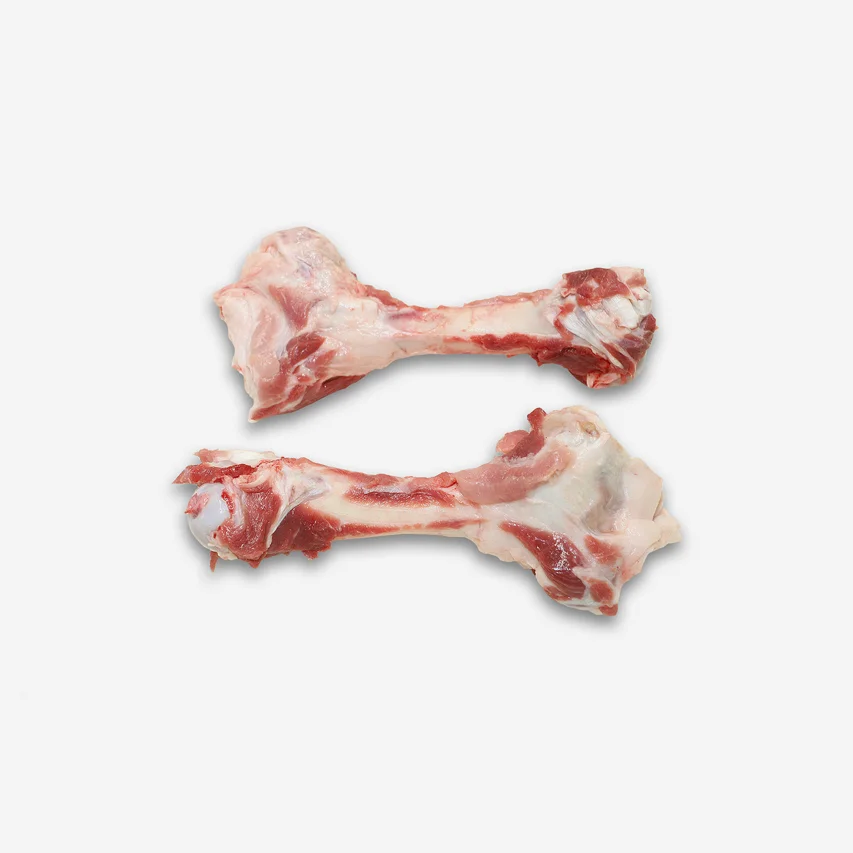 69121 Femur bone