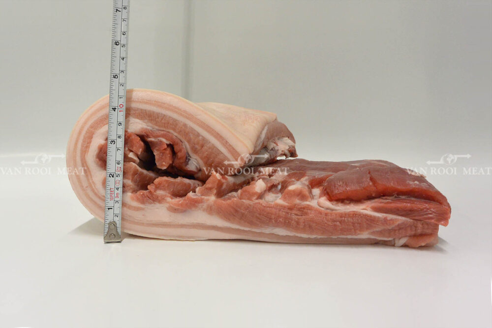 Belly A, Single Ribbed Rind on 20-50-5