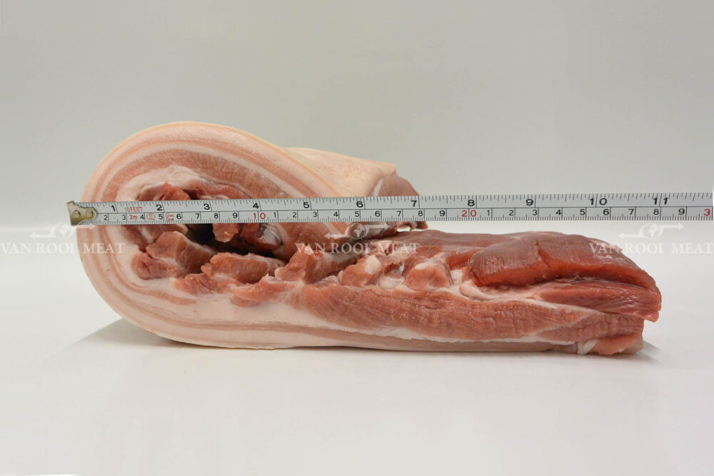 Belly A, Single Ribbed Rind on 20-50-6