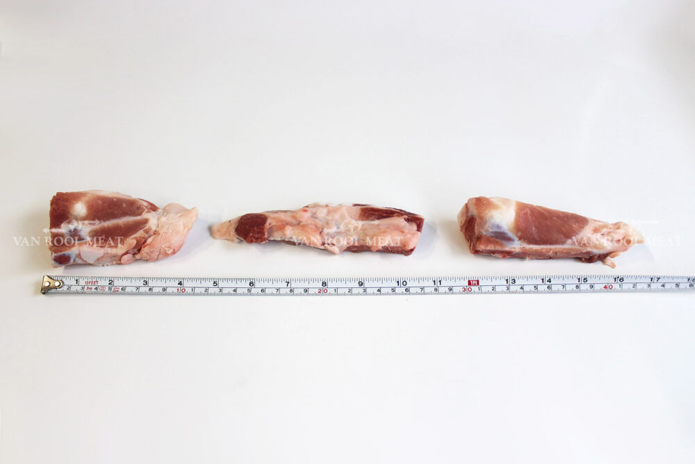 Breast Bone-3