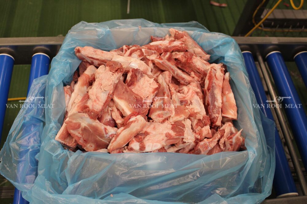 Breast Bone-8
