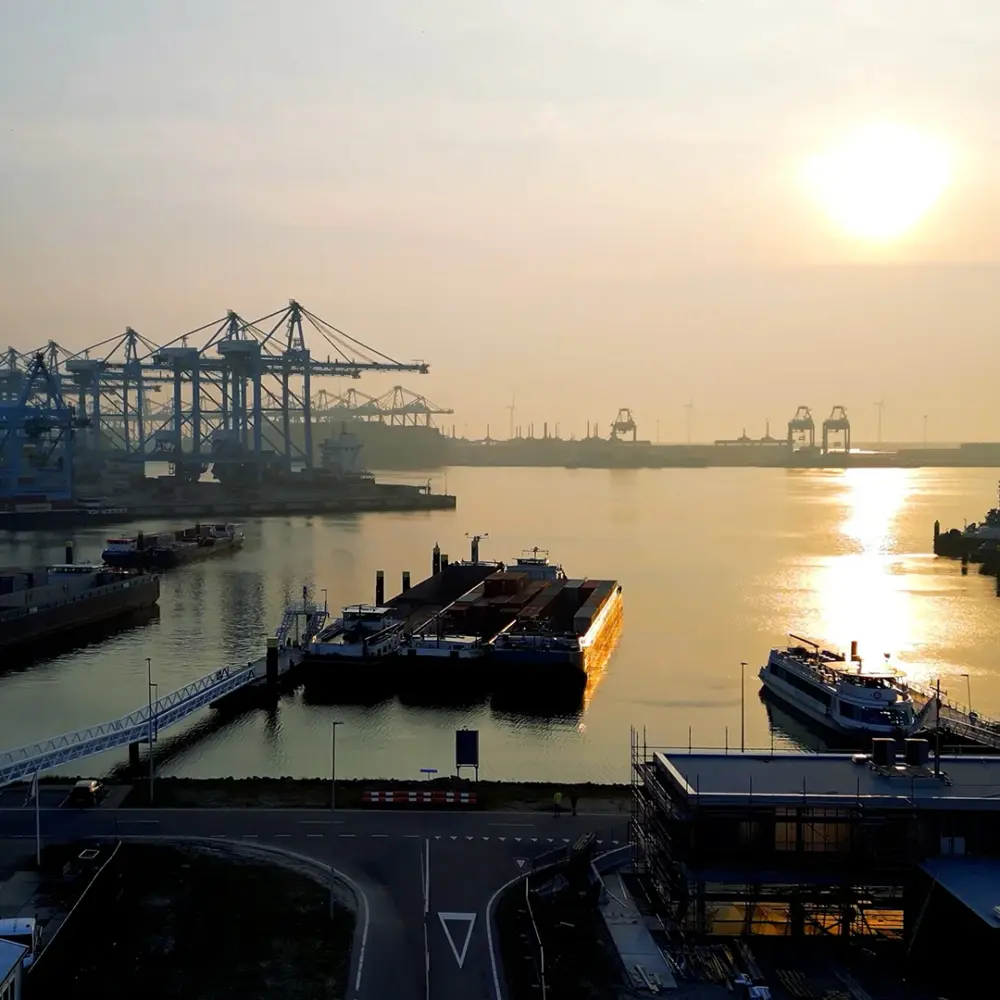 Export-haven