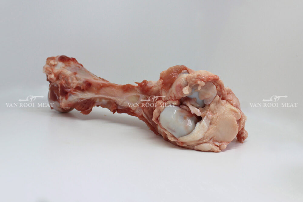 Femur bone cap-on-2