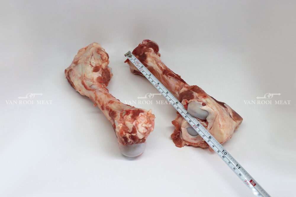 Femur bone cap-on-4