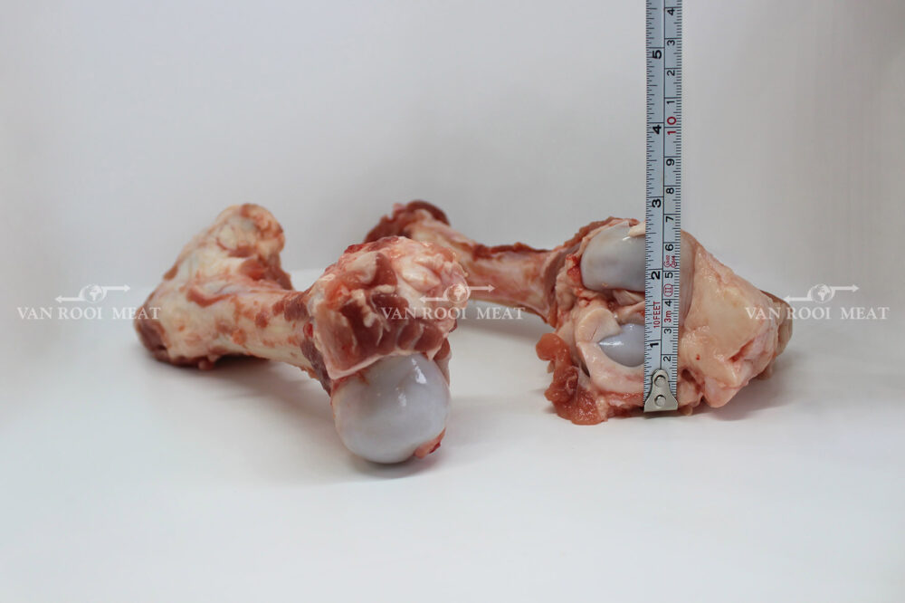 Femur bone cap-on-5
