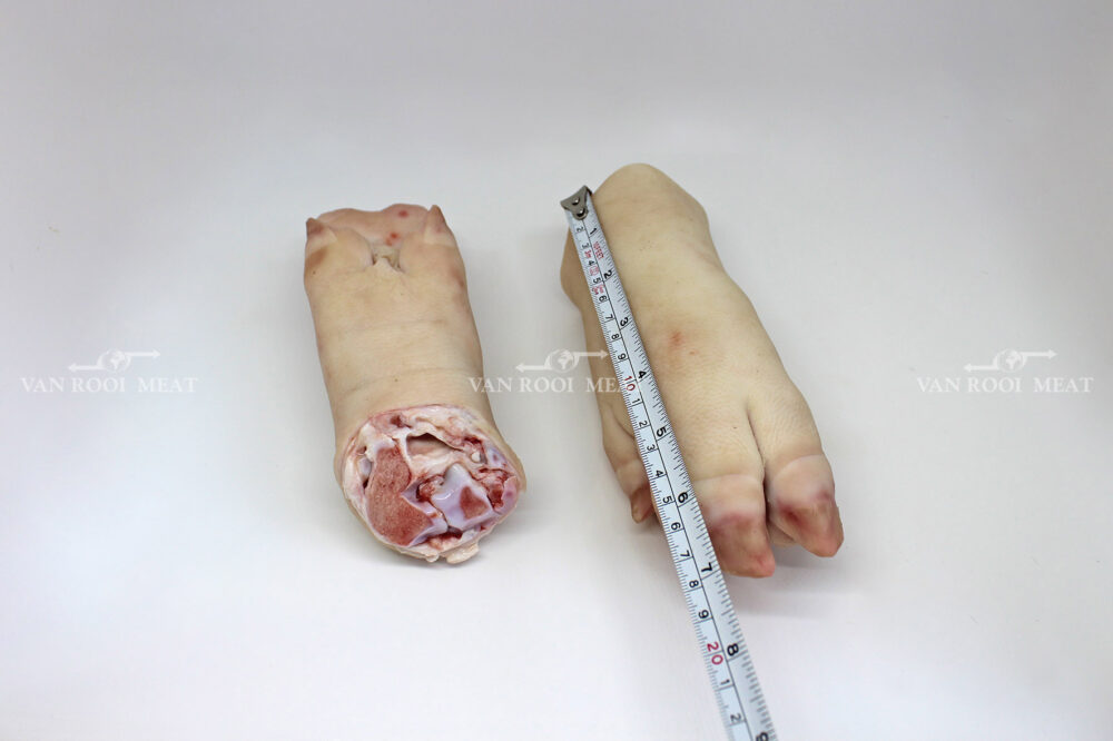 Front Feet-7