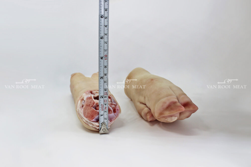 Front Feet-8