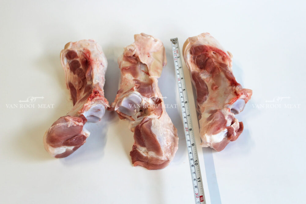 Front Hock Bone-2