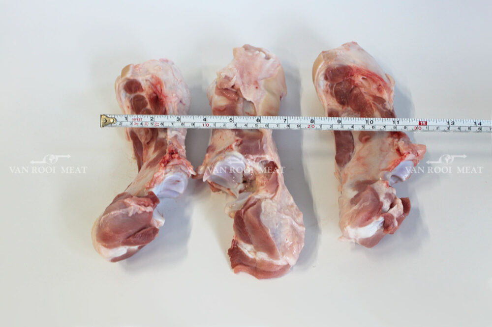 Front Hock Bone-3