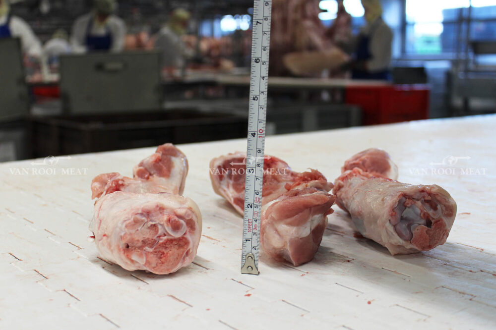 Front Hock Bone-4