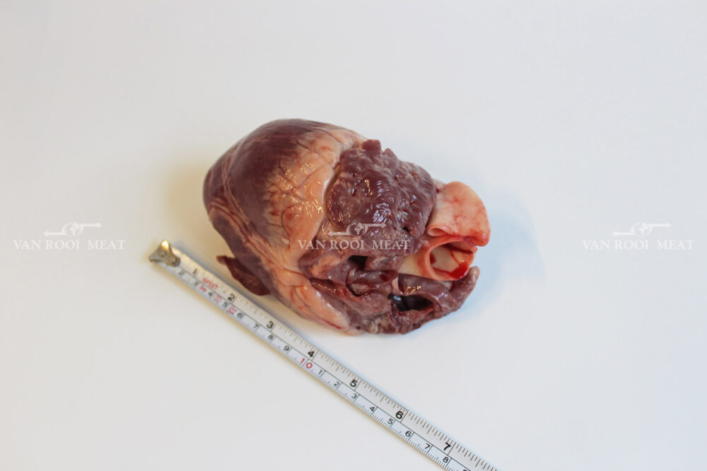 Hearts Whole-5