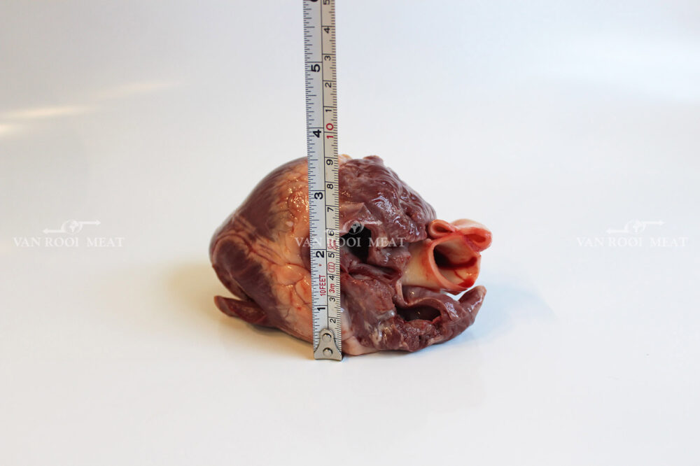 Hearts Whole-7