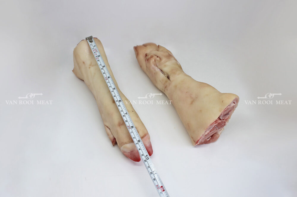 Hind Feet-5