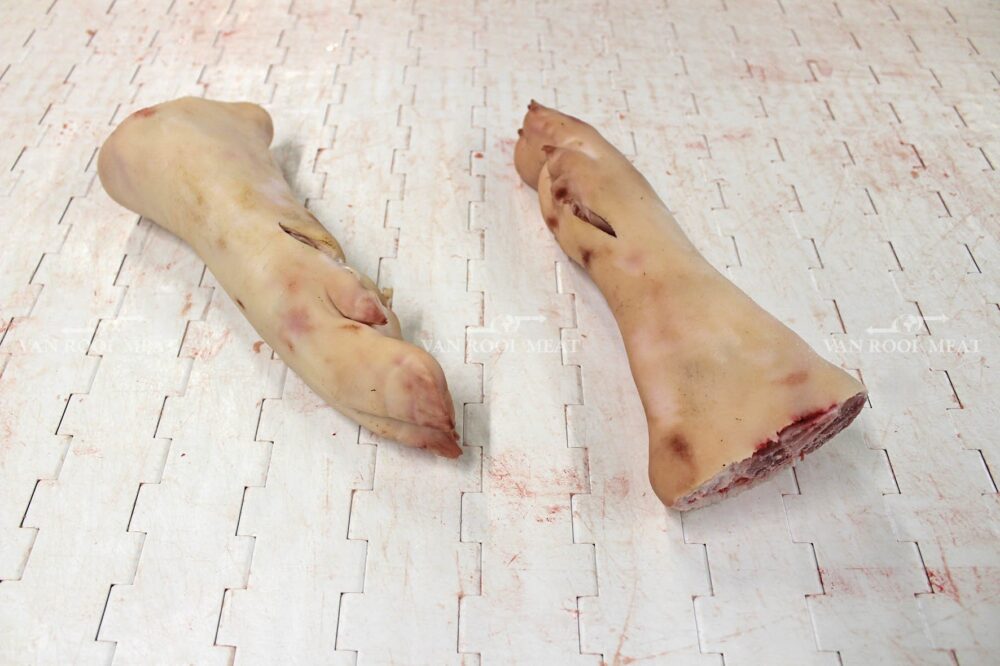 Hind Feet-9 - Copy