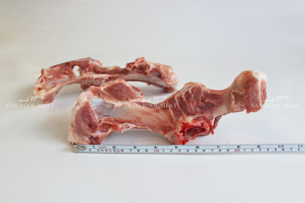 Hip Bone-3