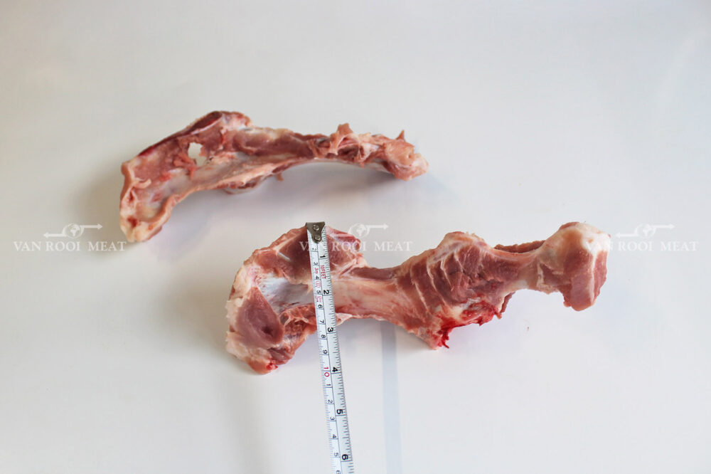 Hip Bone-4