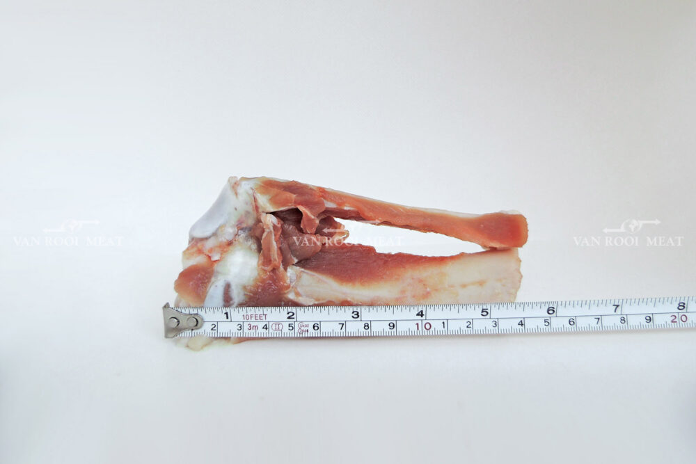 Hock Bone-3