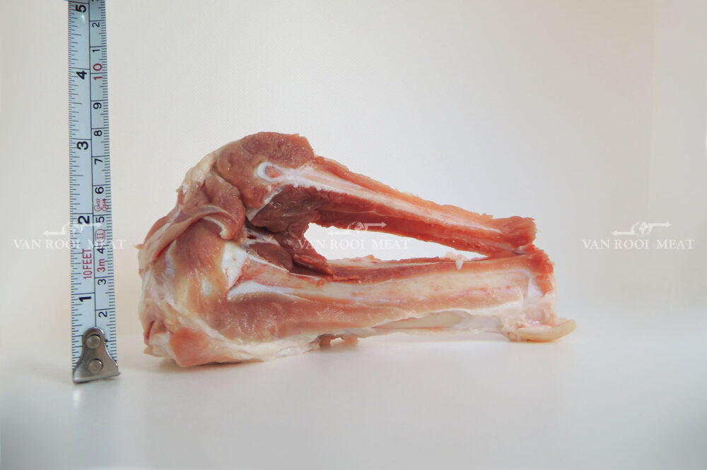 Hock Bone-4
