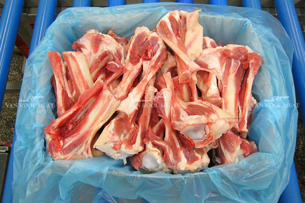 Hock Bone-9