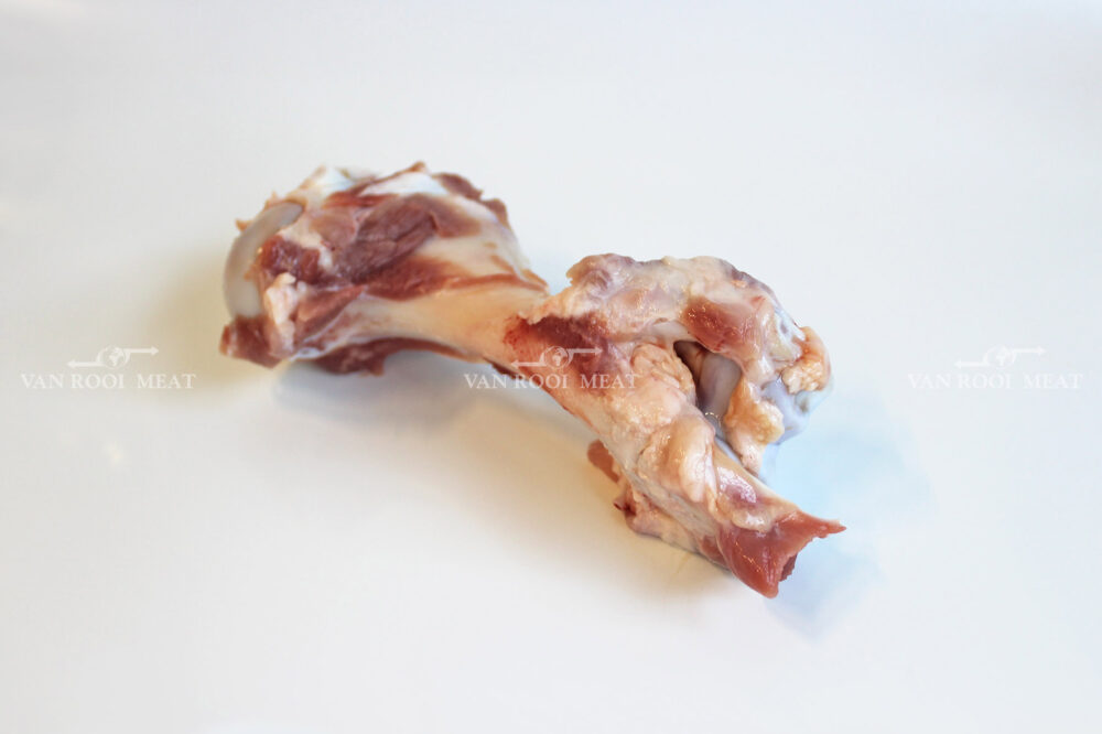Humerus Bone-2