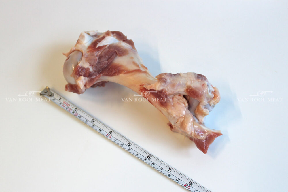 Humerus Bone-7