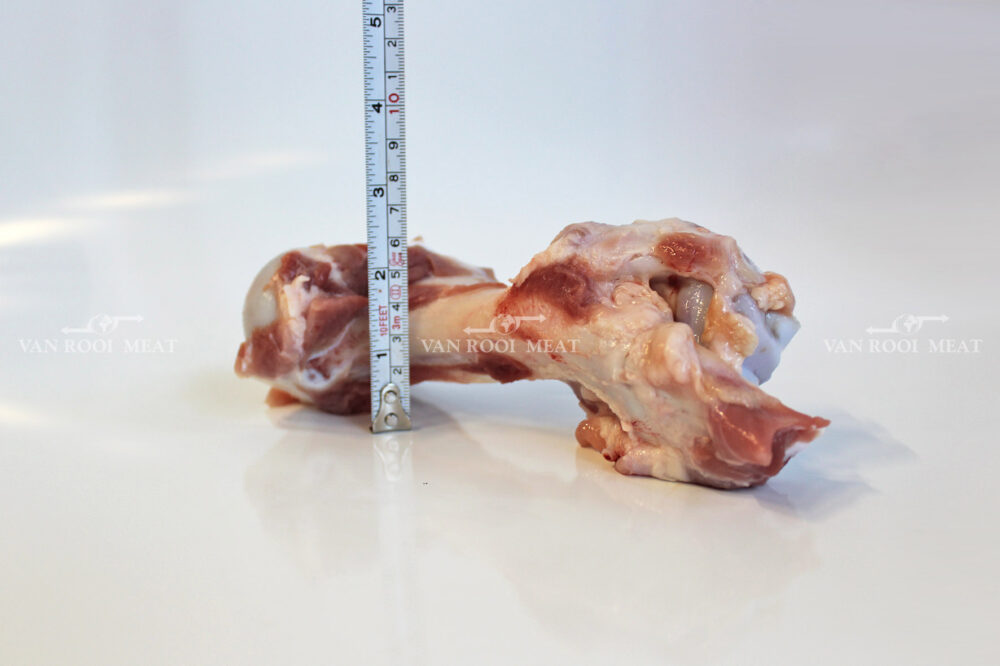 Humerus Bone-8