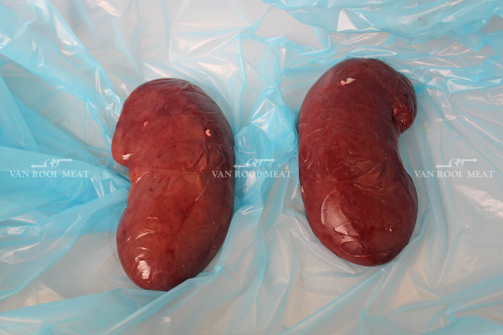 Kidney-5