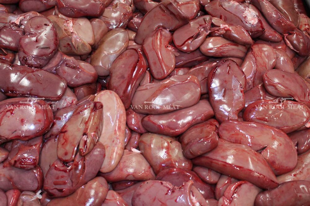 Kidney-6