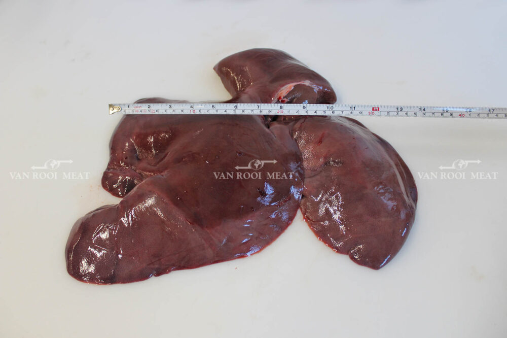Liver-5