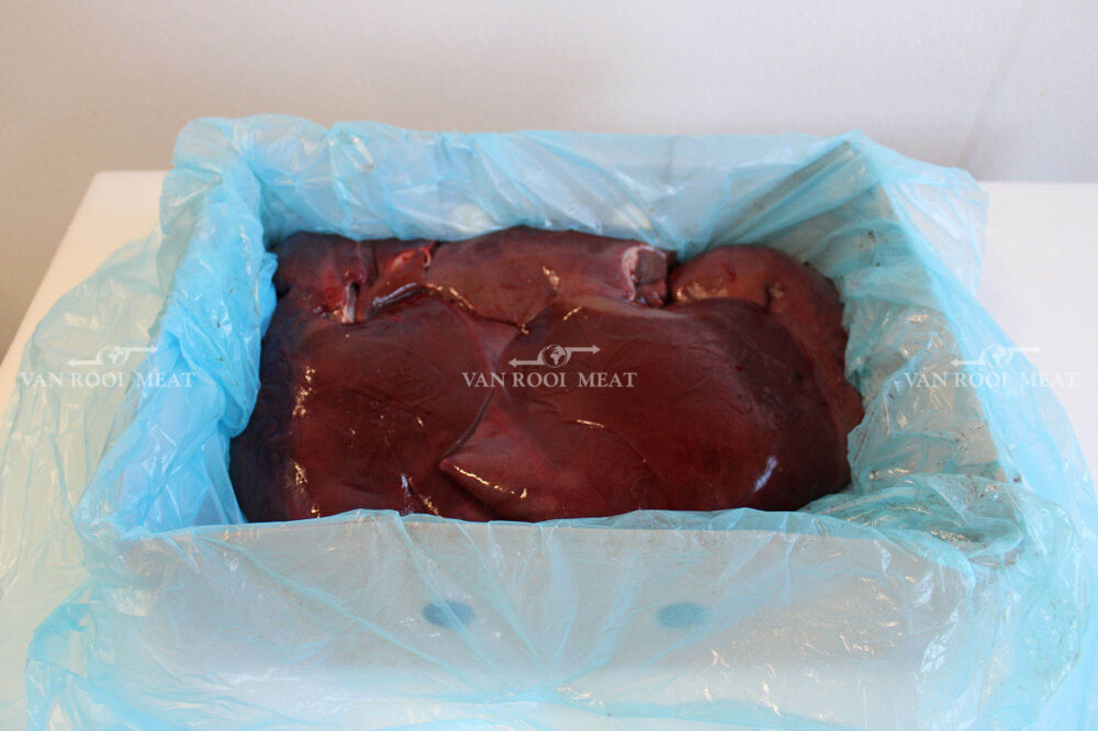 Liver-7