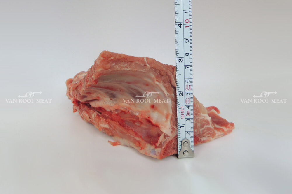 Neck Bone-10