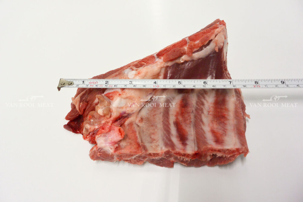 Riblets-5