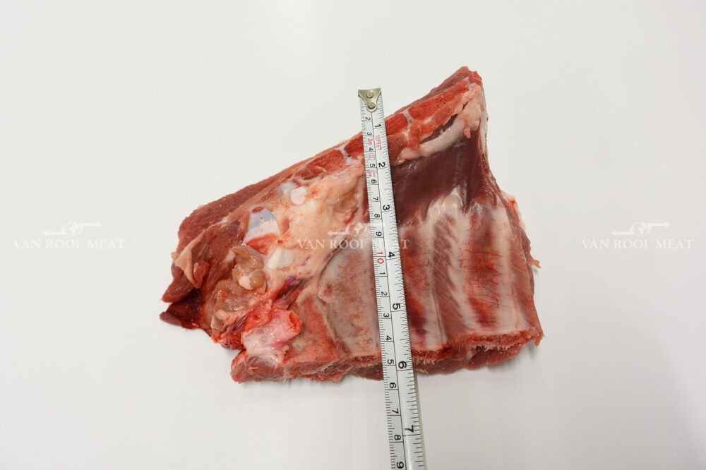 Riblets-6