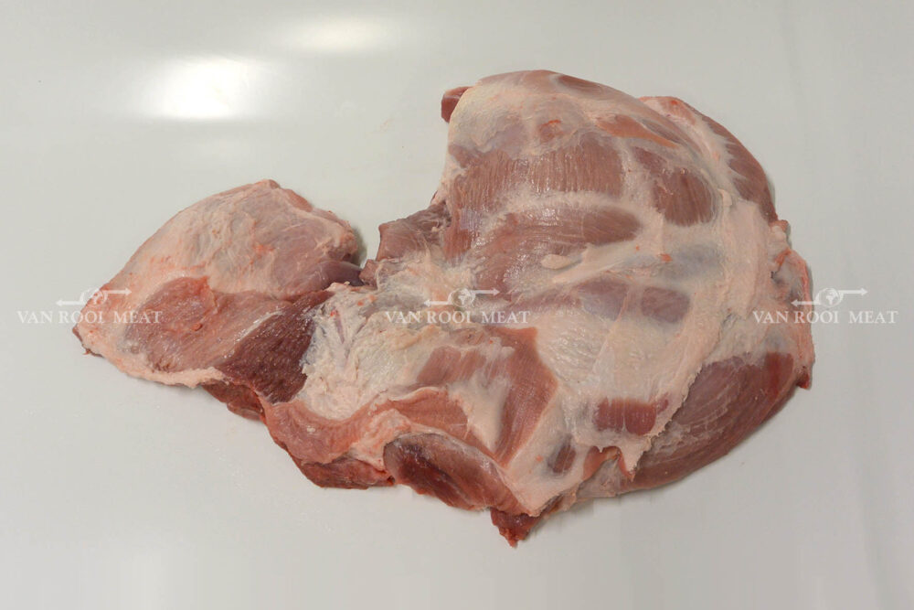 Shoulder 4D Export-44023-1