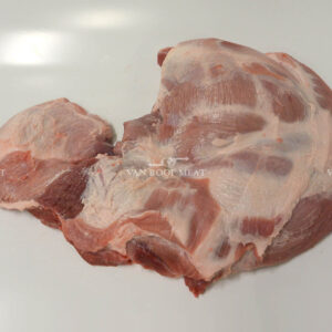 Shoulder 4D Export-44023-1