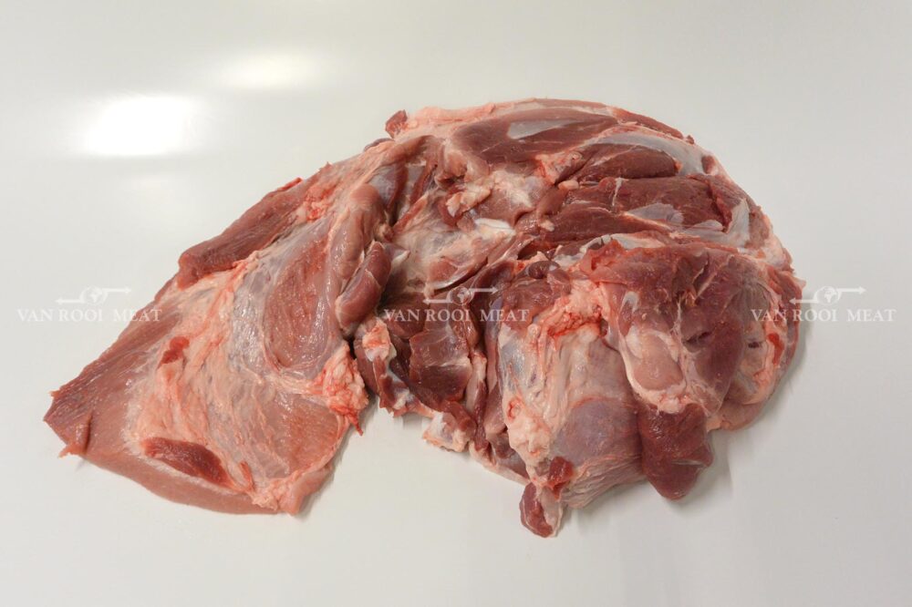 Shoulder 4D Export-44023-4