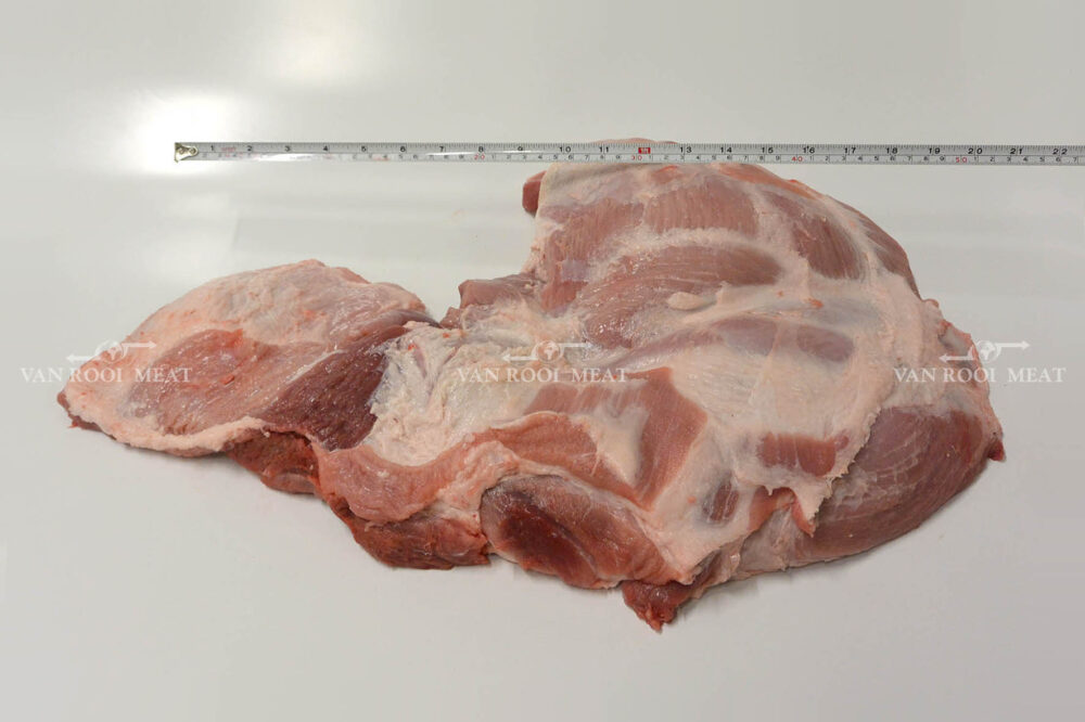 Shoulder 4D Export-44023-6