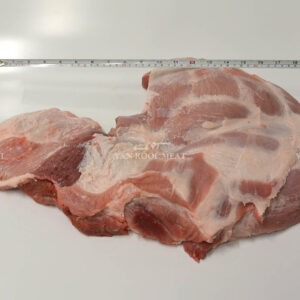 Shoulder 4D Export-44023-6
