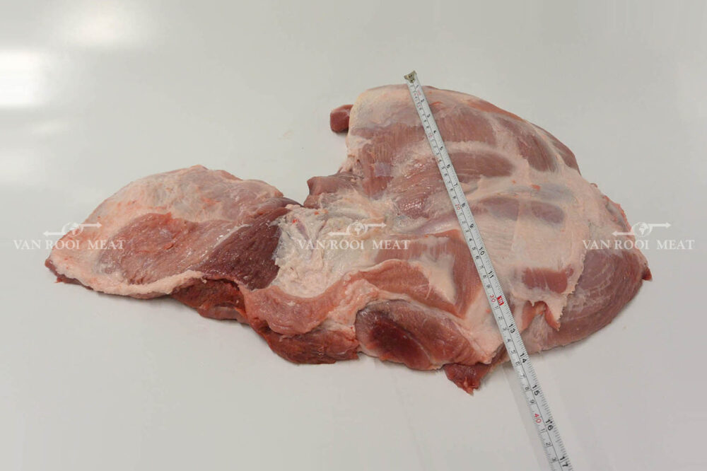Shoulder 4D Export-44023-7