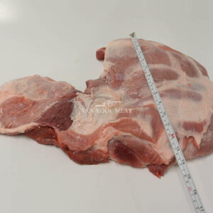 Shoulder 4D Export-44023-7
