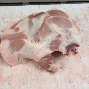 Shoulder 4D Export-44023-8